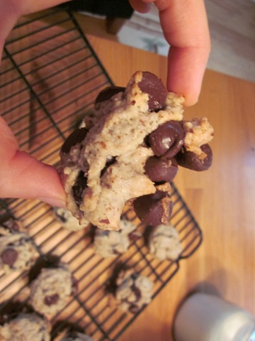 [almond meal 006[3].jpg]