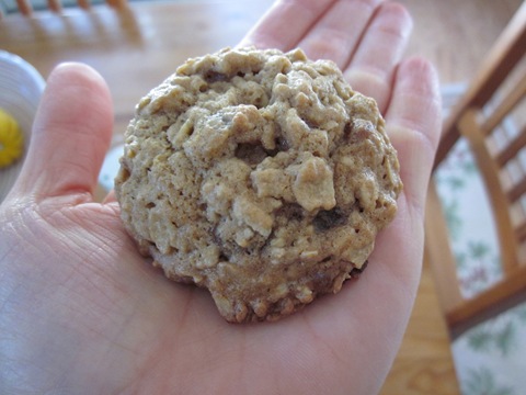 [bur 008[10].jpg]