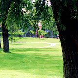 清华 &ndash; 