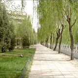 清华 &ndash; 