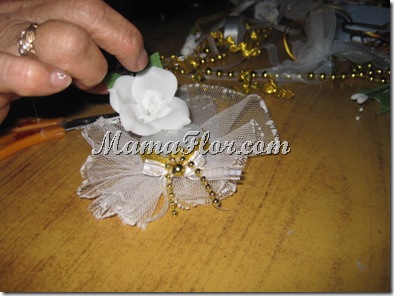 IMG_1098 IMG_1098