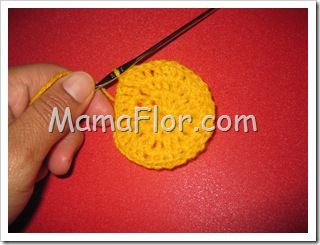 IMG_8205 IMG_8205