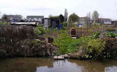 allotments from canal