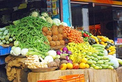 food imports