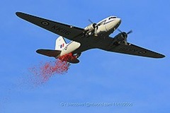 poppy drop