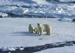 understanding-climate-change
