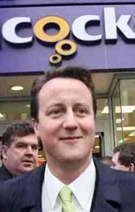 david cameron cock