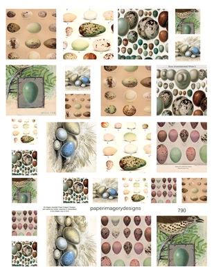 [790minieggs[4].jpg]