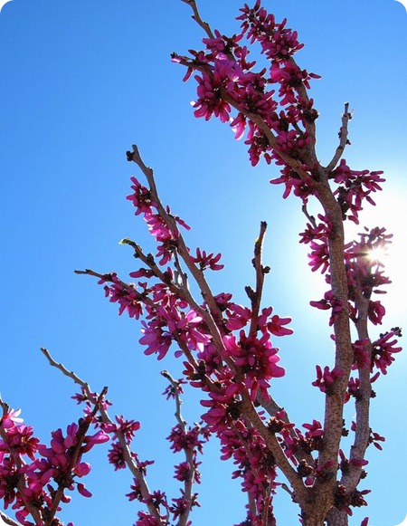 IMG_3042 IMG_3042