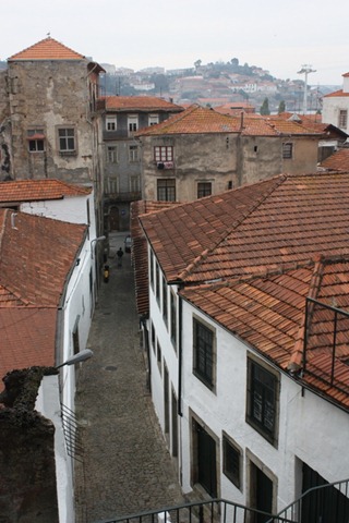 [IMG_50117.jpg]