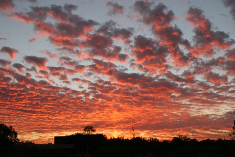 [Tucson-mackerel-sunset[1][3].jpg]