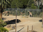 Late09 030.jpg