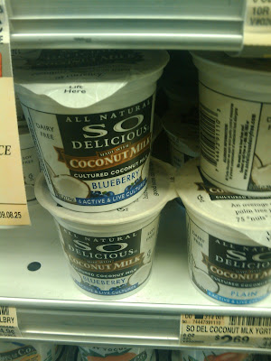 Coconut Milk Yogurt