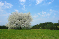 P1080400.JPG Photo