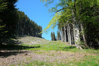 P1080541.JPG