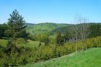 P1080464.JPG Photo