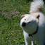 DSC_0074.JPG