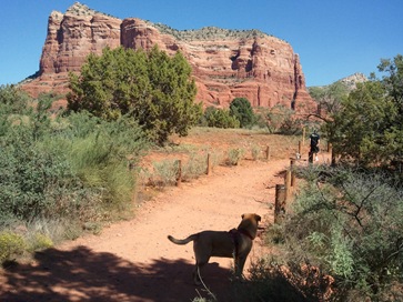 [2010-10-13 11.20.51[2].jpg]