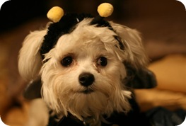 marbee013Medium