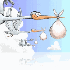 stork