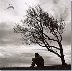 noviembresolitario