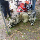 DSCF2263.JPG
