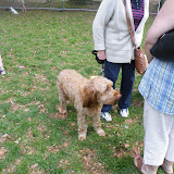 DSCF2258.JPG