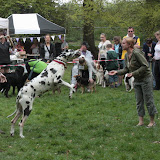 IMG_7516.JPG