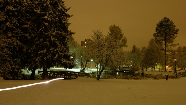 2010-10-23 Umea First Snow 022
