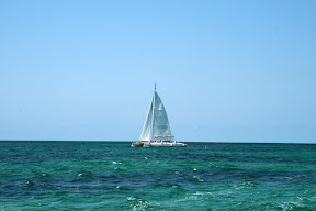 IMG_1325.JPG