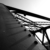 IMG_3771.jpg