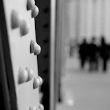 IMG_3787.jpg