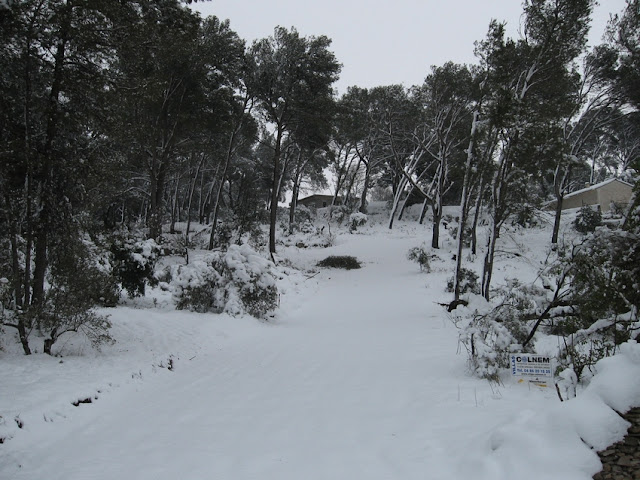 photo%20neige%208%20mars%202010%20076.jpg