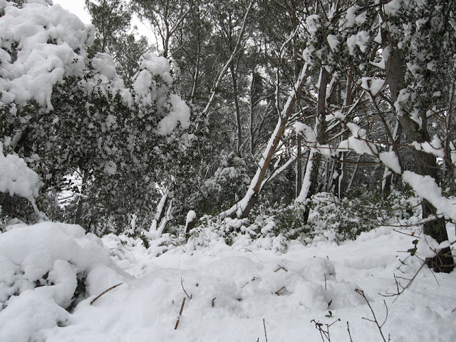 photo%20neige%208%20mars%202010%20092.jpg