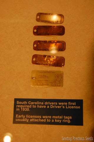 [DSC_0075[4].jpg]
