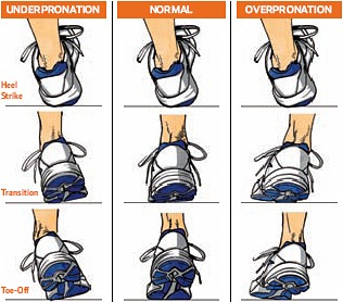 [Pronation[12].jpg]