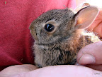 DSC00687.JPG