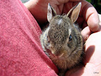 DSC00688.JPG