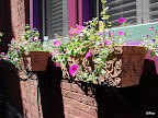 DSC01161.JPG