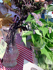 DSC02108.JPG