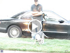 MOV02620.MPG