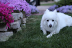 IMG_9175.JPG