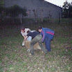 1982 - Bokkerijderstreffen 11.jpg