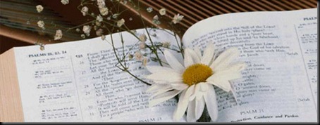 OpenBible