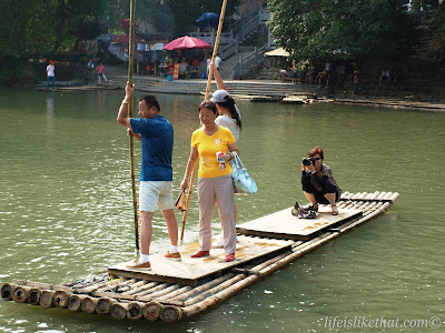 Big Banyan Tree in Yangshuo picture guilin escapade photo