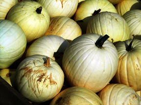 25 Foods Women Should Eat to Defy Aging Process anti aging food, wax gourd