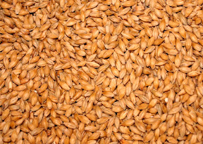 25 Foods Women Should Eat to Defy Aging Process anti aging food, malt