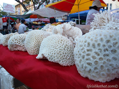 Gaya Street Sunday Market picture sabah escapade  photo