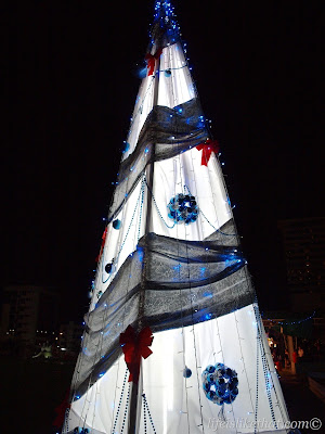 christmas, christmas tree