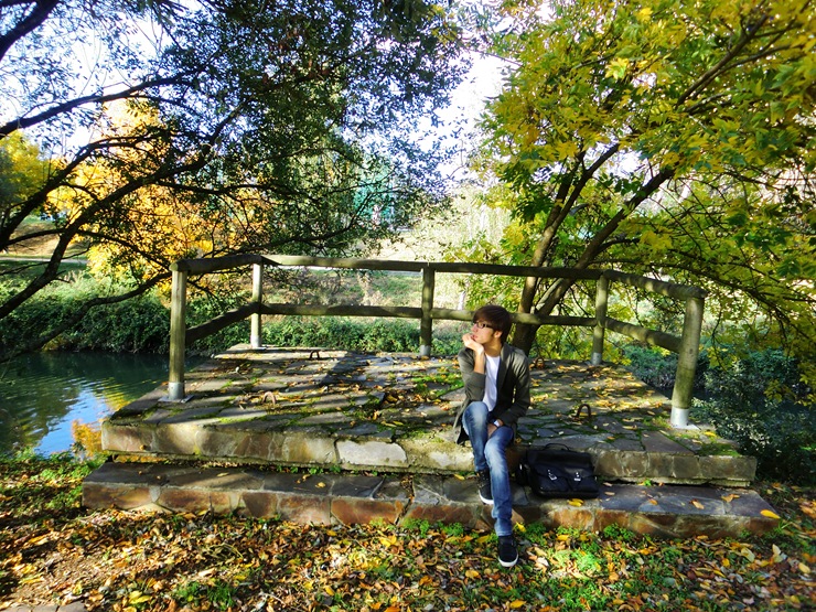 Lagares otoño 008